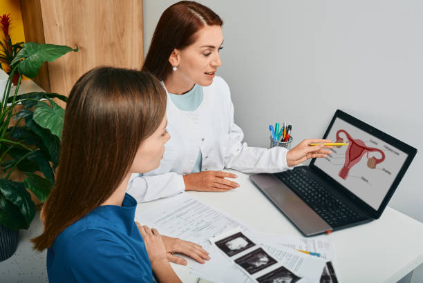 What Are the Four Stages of the Menstrual Cycle?